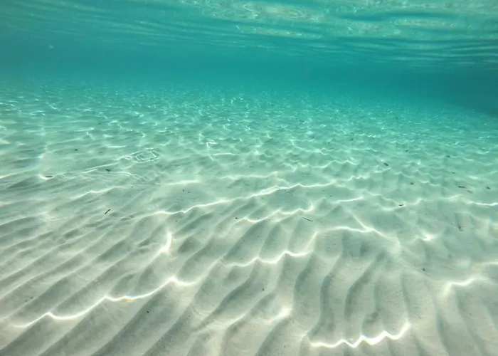 Minzoni Tony Apartment *